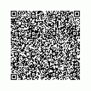 vCard 73514929299