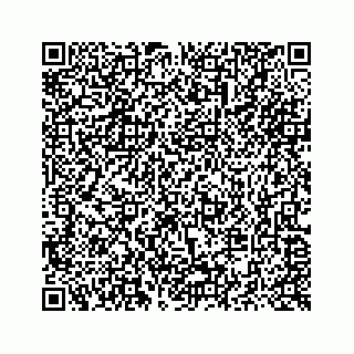 vCard 73514929311
