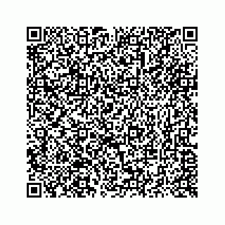 vCard 73514929335
