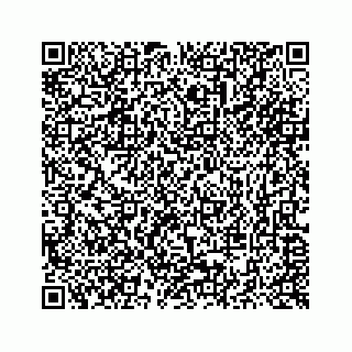 vCard 73514929339