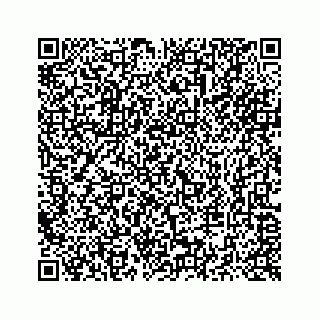 vCard 73514929379