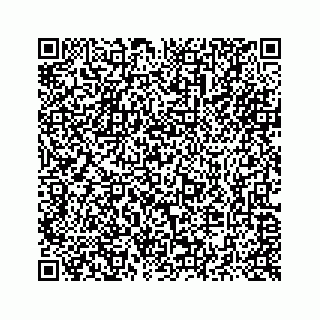 vCard 73514929381