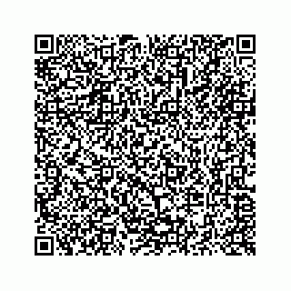 vCard 73514929385