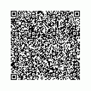 vCard 73514929394