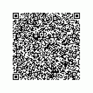 vCard 73515155279