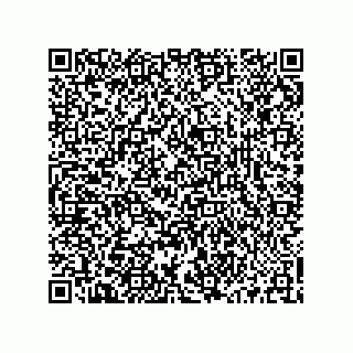 vCard 73515195209