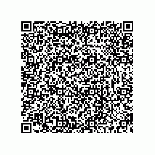 vCard 73515438724