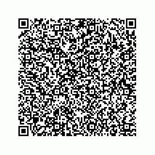 vCard 73515637333