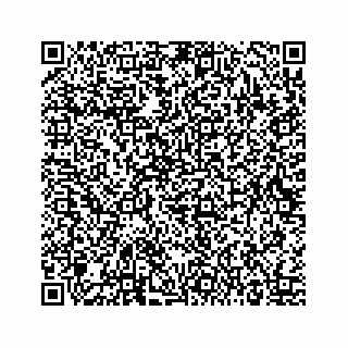 vCard 73515637381
