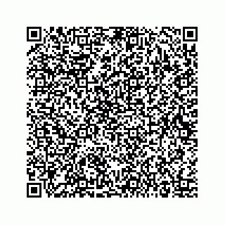 vCard 73515637387