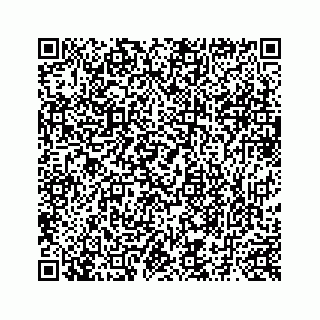 vCard 73515832519