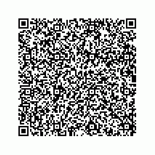 vCard 73515832749