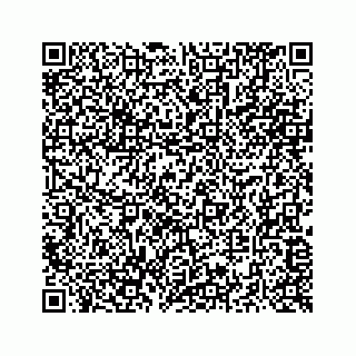 vCard 73516138810