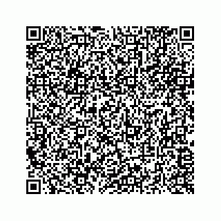 vCard 73516138931
