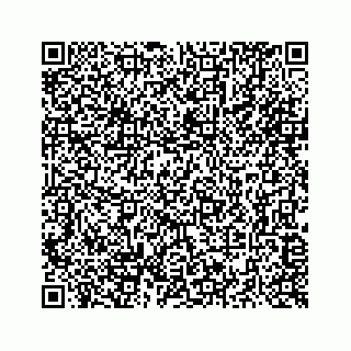 vCard 73516139287