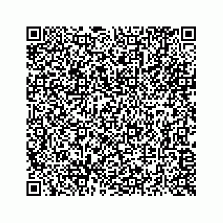 vCard 73516139295