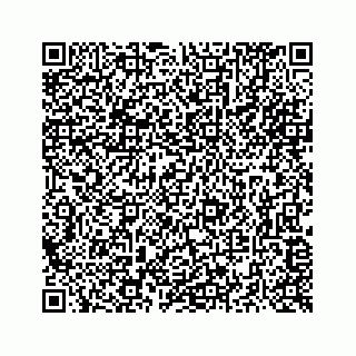vCard 73516139313