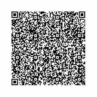 vCard 73516139331