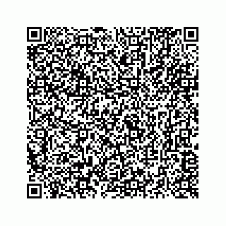 vCard 73516139333