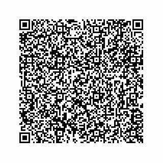 vCard 73516139334