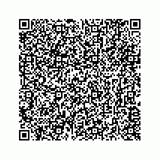 vCard 73516139335