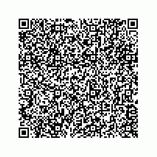 vCard 73516139381