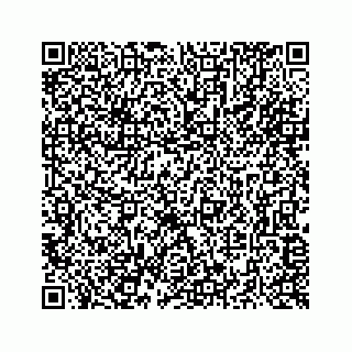 vCard 73516139383