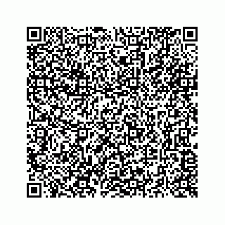 vCard 73516139384