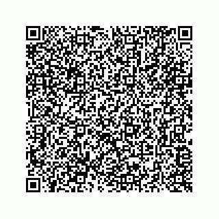 vCard 73516139387