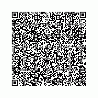 vCard 73516139413