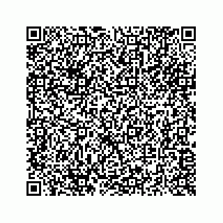 vCard 73516139419