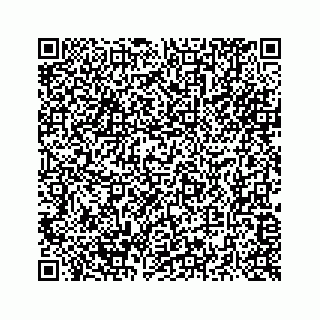 vCard 73516139819
