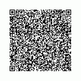 vCard 73516139968