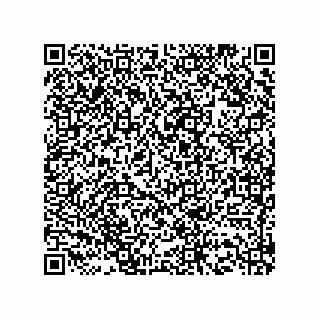 vCard 73516352003