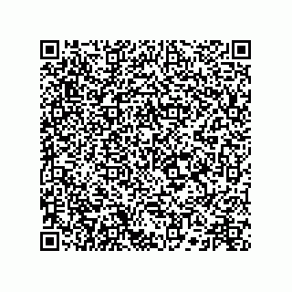 vCard 73516539271