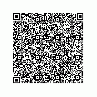 vCard 73516539294