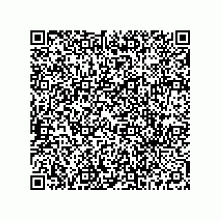 vCard 73516539299