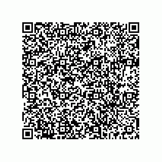 vCard 73516539313