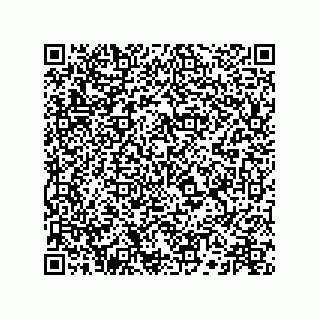 vCard 73516539648