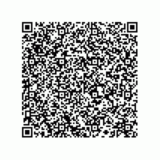 vCard 73516539711