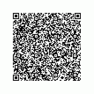 vCard 73516539891