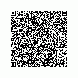 vCard 73519002781