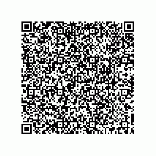 vCard 73519003941