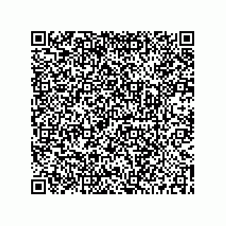 vCard 73519004411