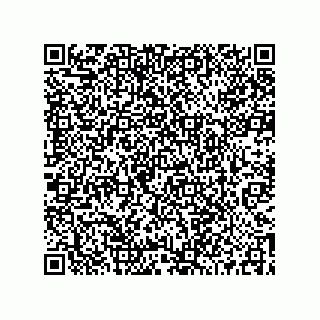 vCard 73519038291