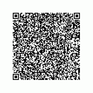 vCard 73519038333