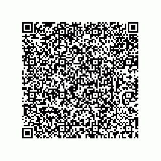 vCard 73519038339