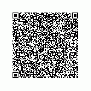 vCard 73519038381