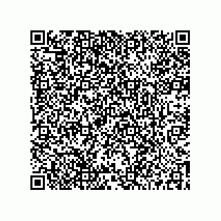 vCard 73519038513