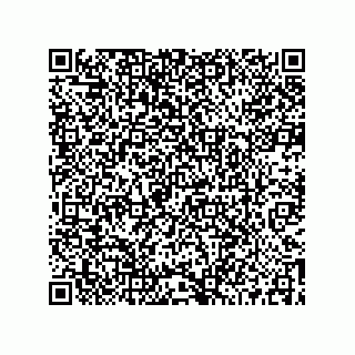 vCard 73519038515